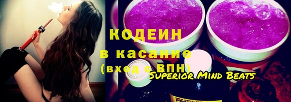 индика Абинск