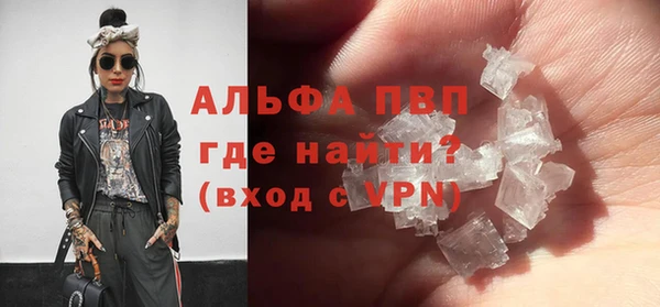 индика Абинск