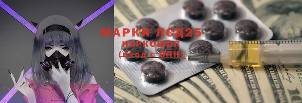 индика Абинск