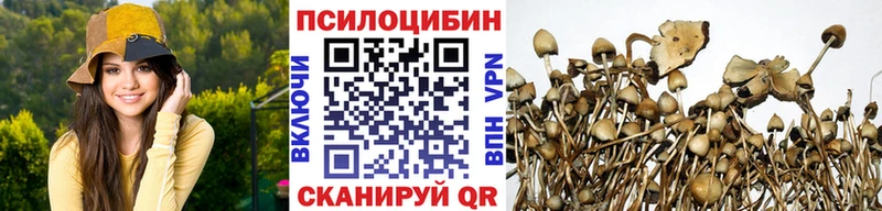 omg как зайти  нарко площадка как зайти  Псилоцибиновые грибы мицелий  Абаза 