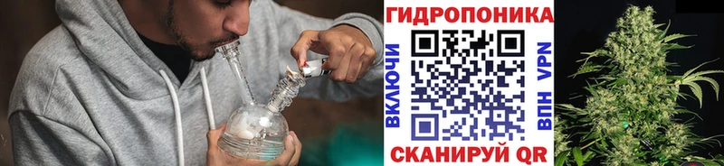 купить наркоту  Абаза  Шишки марихуана план 